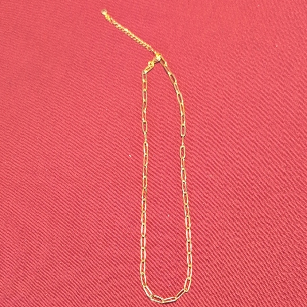 Elegant Goldtone Chain Necklace